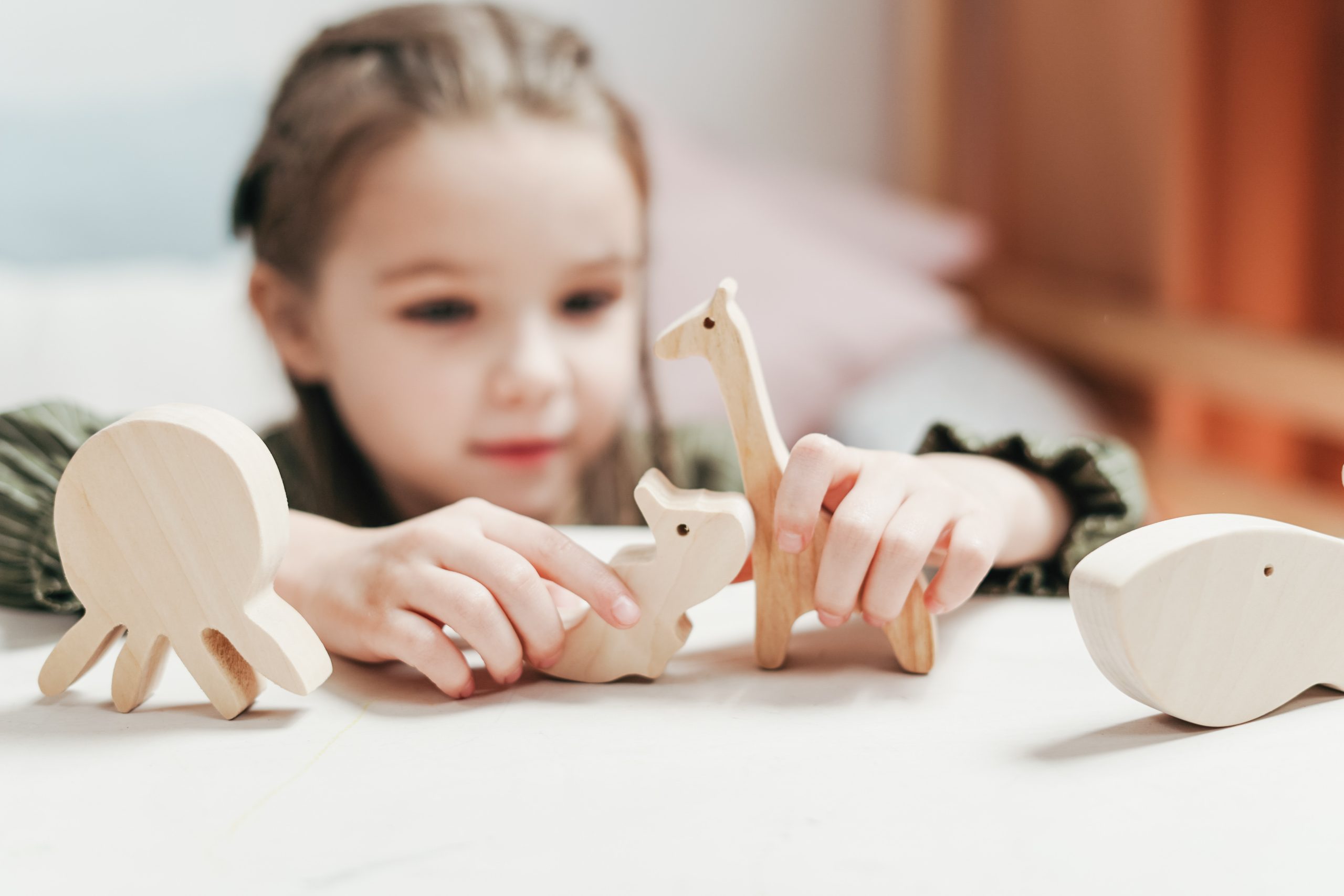 Vente de jeux et jouets en bois, jouets bio, jeux naturels, fabriqués en  France 