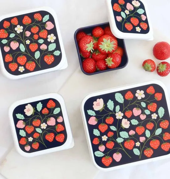 Lot De 2 Boîtes à Goûter Inox Avec Compartiments - Étanches, Lavables Au Lave-vaisselle - Pour Pique-nique, école