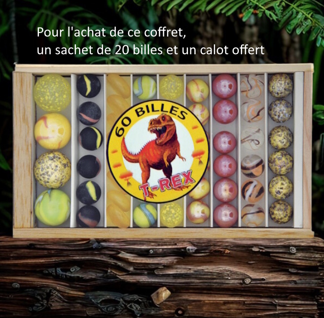 Coffret de 60 billes Dinosaures