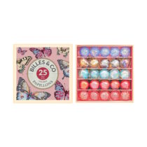 MINIBOX-PAPILLONS-ANAMORPHIQUE-2025 (1)