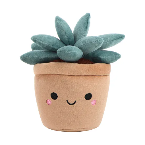 Peluche Plante Succulente