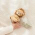 Anneau hochet Lion Safari Friends Little Dutch