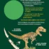 Construis un T. rex — Gallimard Jeunesse