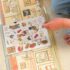 Jeu magnétique Docteur Egmont Toys