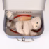 Valise vétérinaire Romy le chat — Egmont Toys